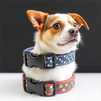 The Most Durable and Stylish Personalized Dog Collars for Your Pup