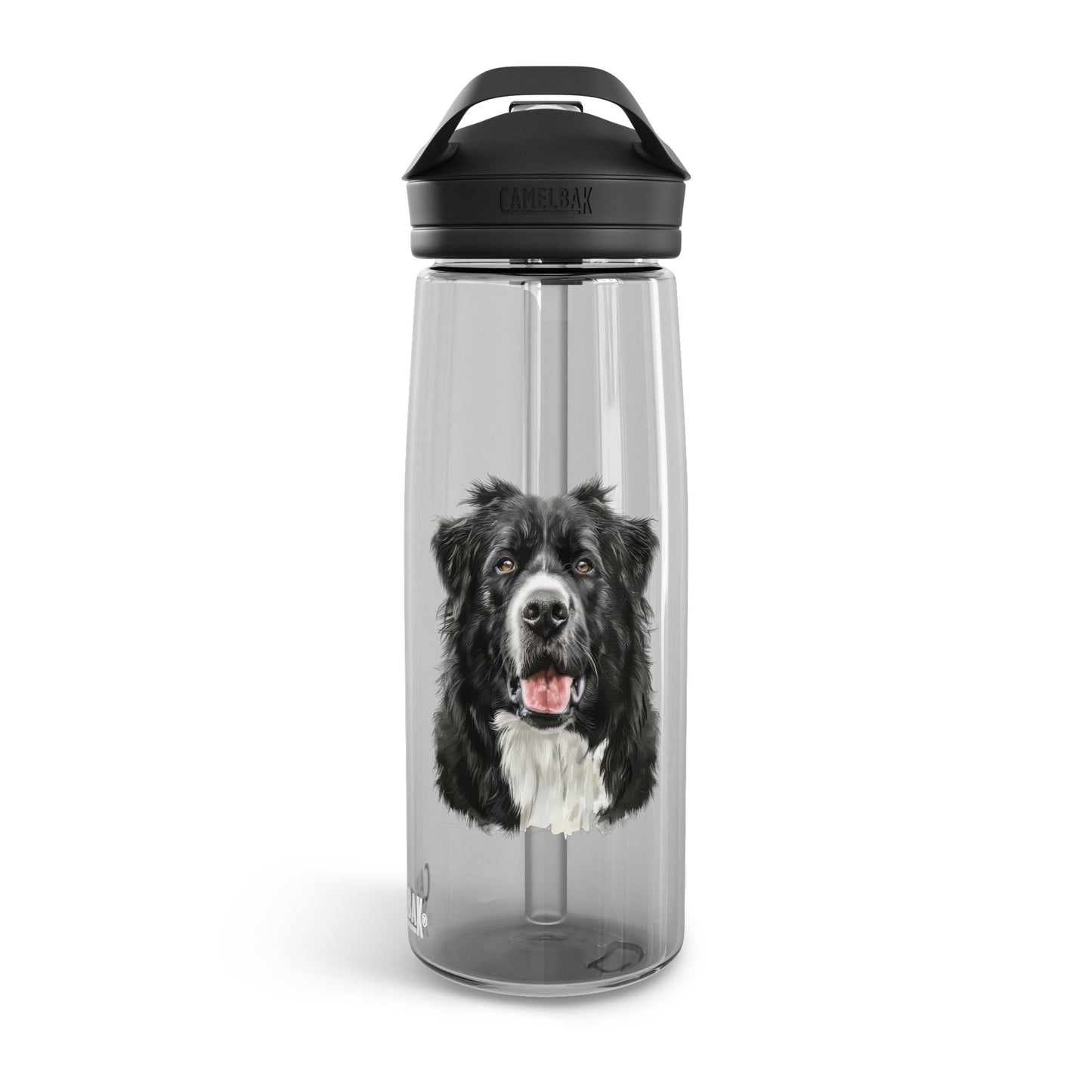 Personalized Dog-Themed Water Bottle – Stay Hydrated in Style