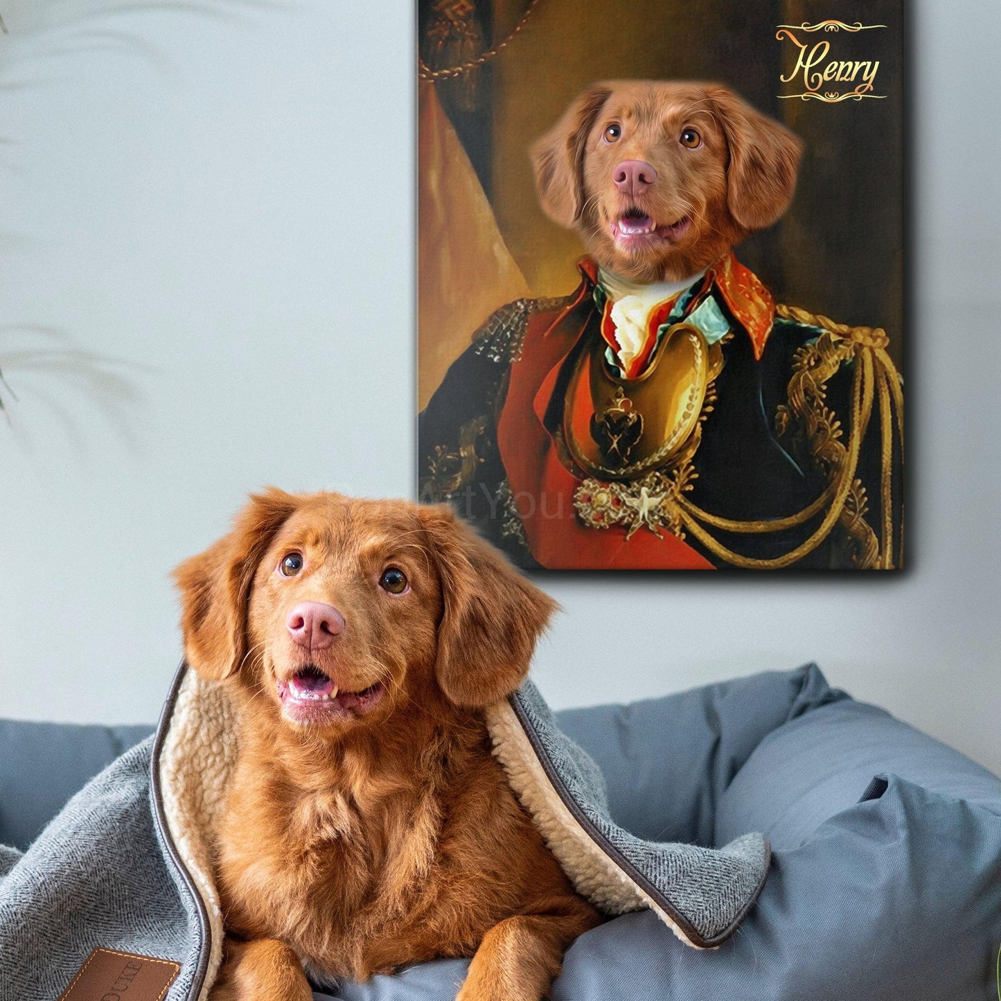 The Chancellor male pet portrait