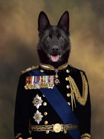 The Veteran male pet portrait