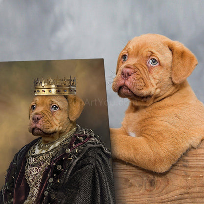 The King male pet portrait