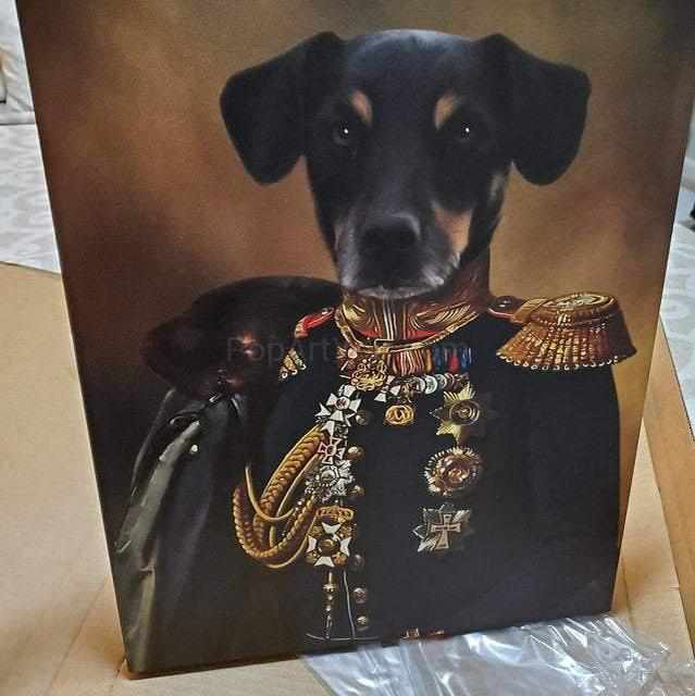 The General male pet portrait