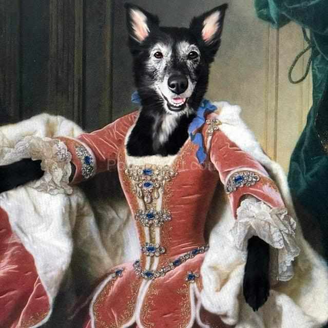 The Duchess female pet portrait