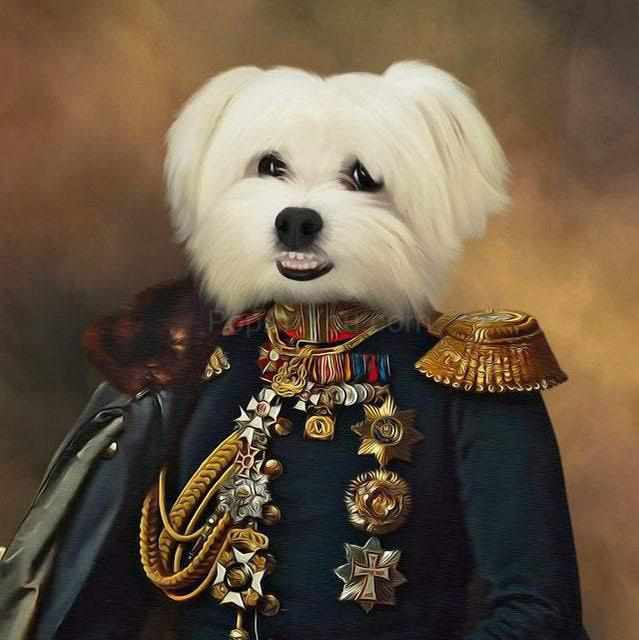 The General male pet portrait