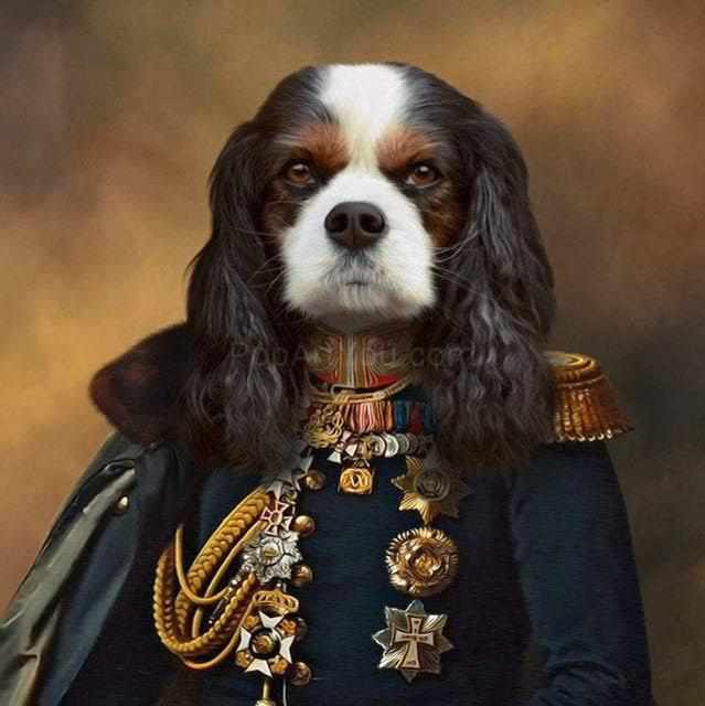 The General male pet portrait