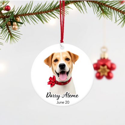 Personalized Ceramic Pet Ornament – Custom Pet Decoration