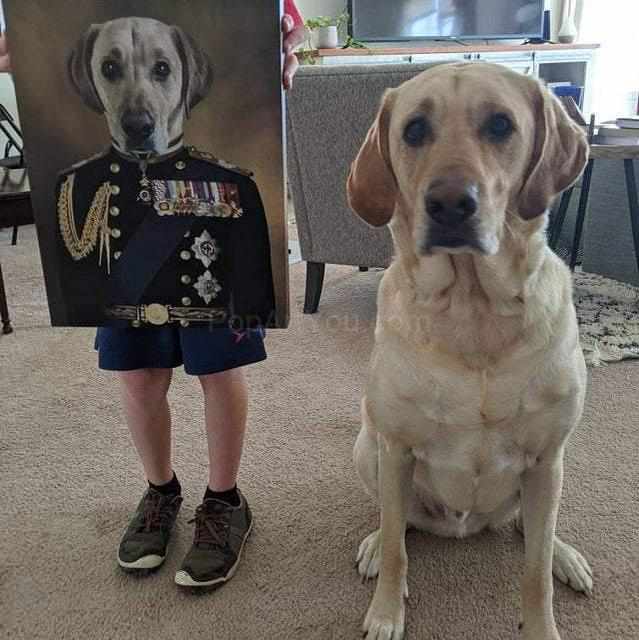 The Veteran male pet portrait