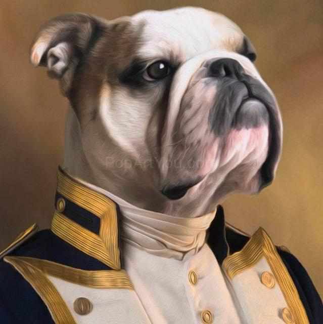 The Great Captain male pet portrait